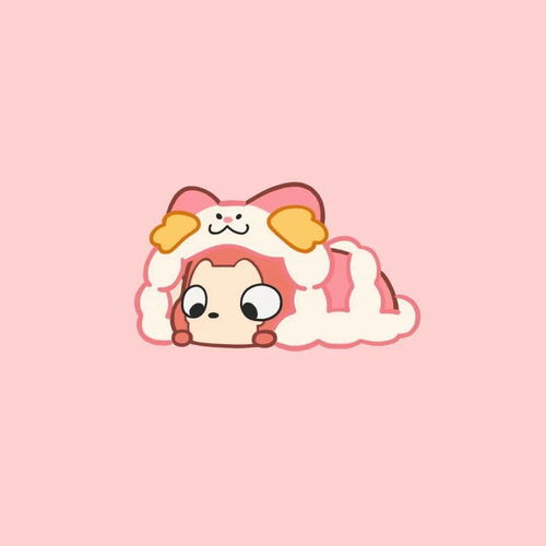 小喜欢是什么意思