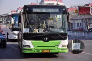 占用公交车道怎么处罚