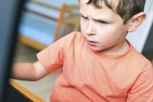 hair可数还是不可数