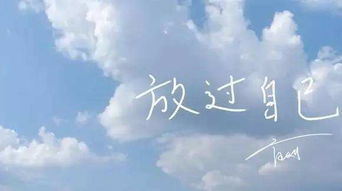 放过自己的歌词