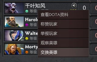 dota2有哪些实用的指令?