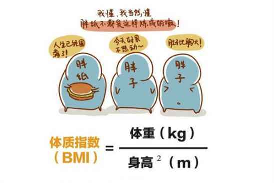 体脂率怎么计算