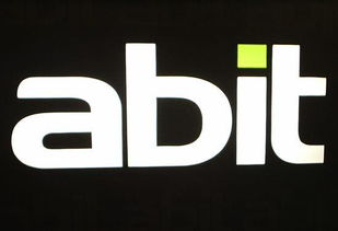 abit的英语怎么读?