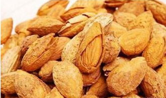 杏仁跟巴旦木是一样吗