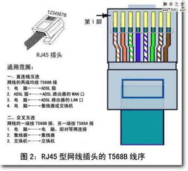 网线顺序 网线顺序是什么