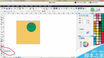 在CDR中怎么调图片透明度
