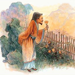 时人不识予心乐,将谓偷闲学少年 是什么意思