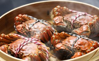 为什么海鲜是发物?