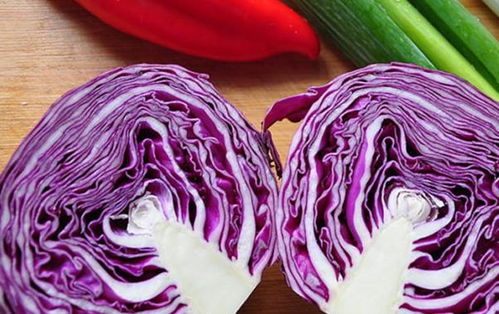 紫包菜和紫甘蓝是一样的吗 紫包菜和紫甘蓝是一不一样的