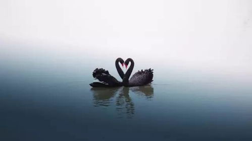 “千江有水千江月,万里无云万里天”是什么意思?