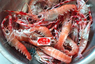 海龙虾怎么做好吃又简单?