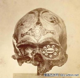 达雅克人属于( )人种 他们的粮食作物是什么?