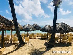 西语cana 什么意思?