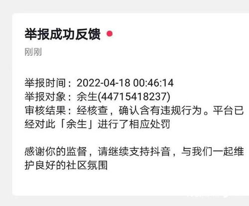 同担是什么意思啊