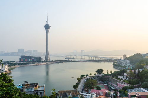 武汉市属于哪个省