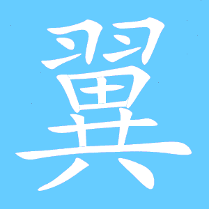 翼可以组什么词