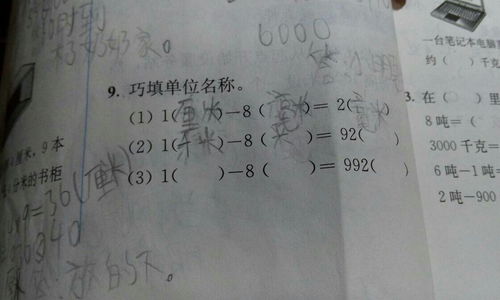 称谓怎么填
