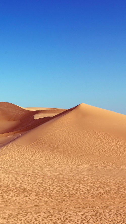 苹果ios12怎么怎在火萤动态壁纸设置 壁纸