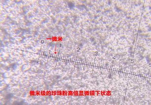 一毫米等于多少微米