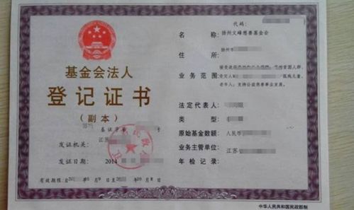 非自然人是指哪些人