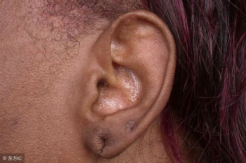 左边一个呈字,右边一个耳朵旁是什么字