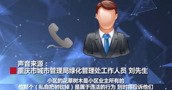 桑怎么读?