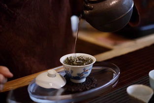 醒茶是什么意思?