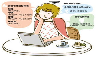 贫血应该吃什么食物好