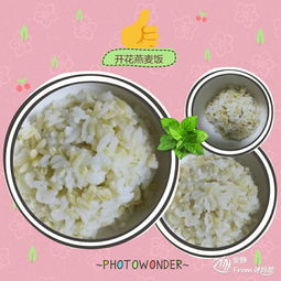 燕麦米饭怎么煮