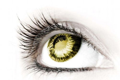 眼睫毛掉进眼睛里怎么办?