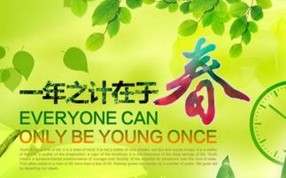一年之计在于春意思