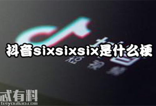 six什么意思