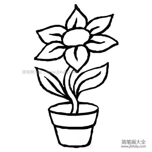 秋天的花简笔画