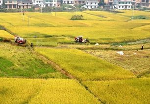 一亩地等于多少平方米