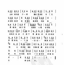 赵薇的真心不假的歌词是什么