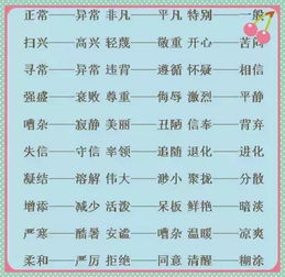 “编”的组词有哪些?
