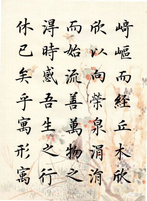 胡为遑遑欲何之的翻译是什么?