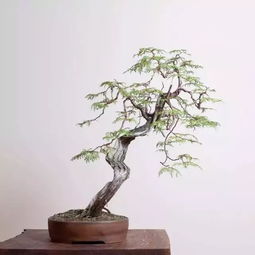 与世无争是什么意思?