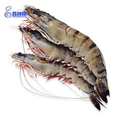 什么是黑虎虾?