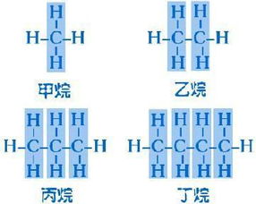 什么是同系物?(化学)