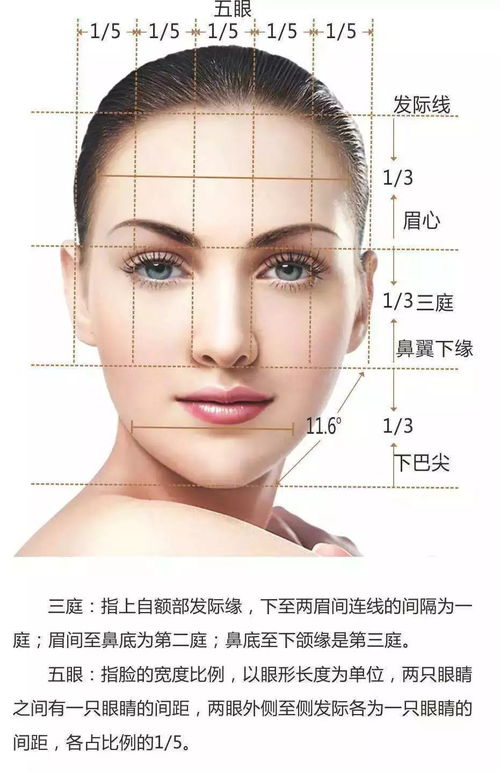 什么样的五官比例是最好的?