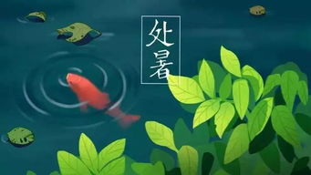 处暑是啥节气