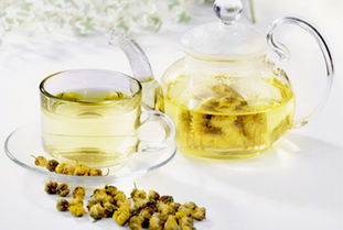 经期能喝菊花茶吗