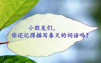 春雨的词语有哪些?