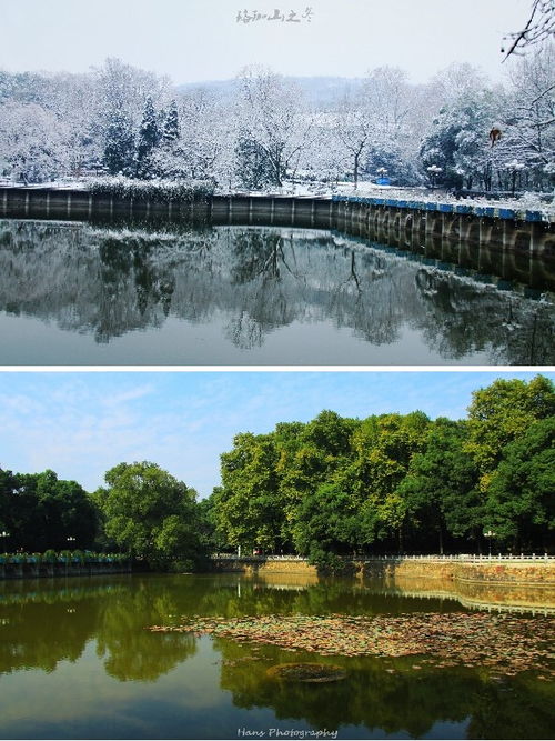 去年天气旧亭台的上一句和下一句