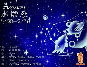 双鱼座与水瓶座配吗