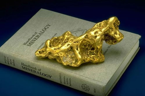 狗头金什么意思?