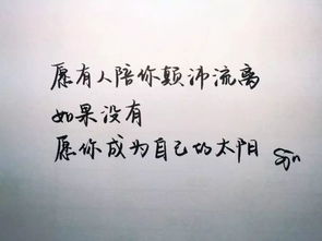 颠沛流离上一句是什么，颠沛流离出自哪里