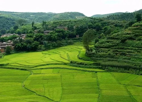 耕地的承包期限为多少年
