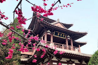 推荐春游去西安青龙寺的理由